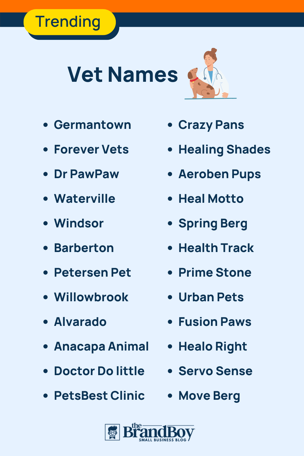 vet-names-885-best-and-catchy-names