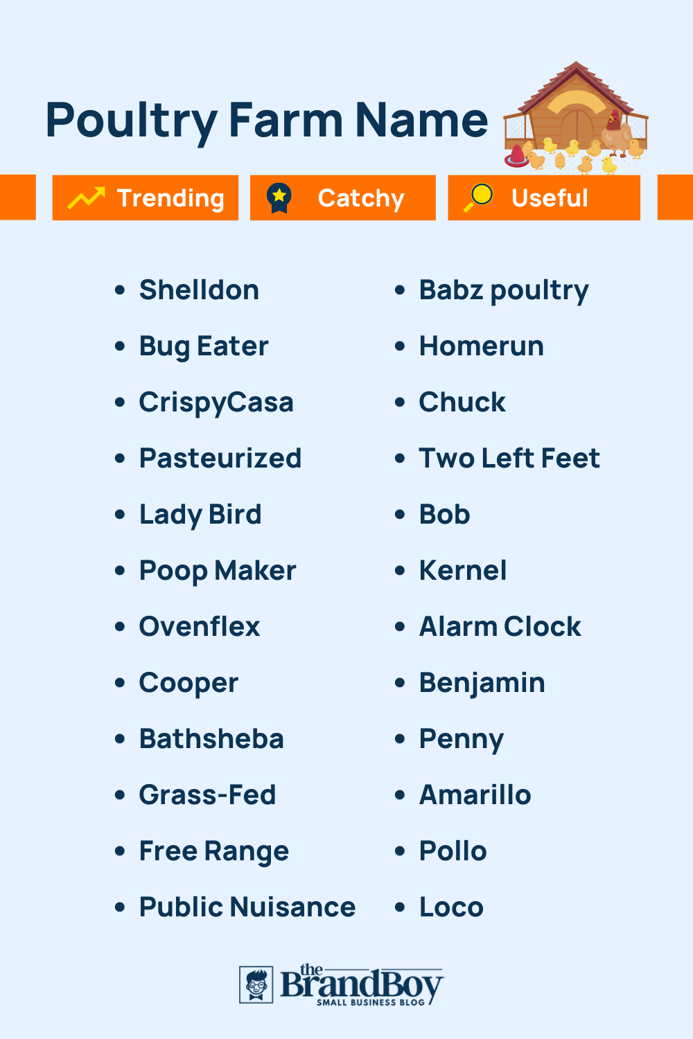 832+ Catchy Chicken Farm Name Ideas With Generator