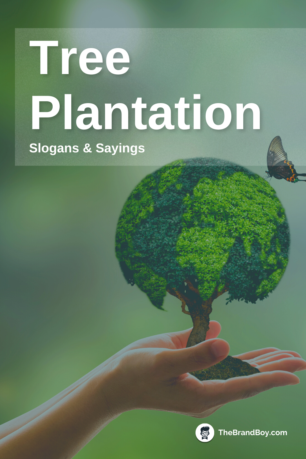 872 Catchy Tree Plantation Slogans And Sayings Generator Guide