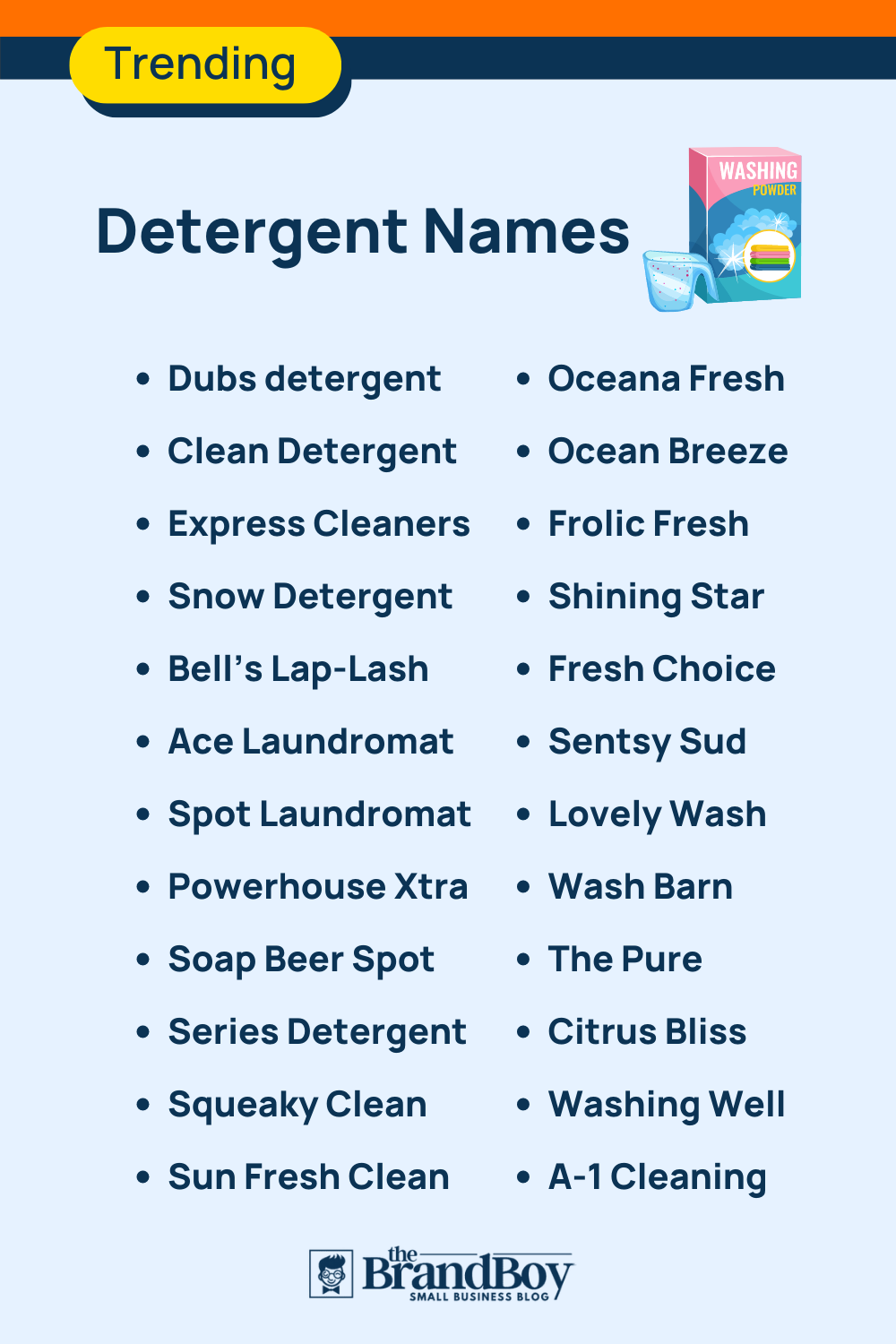 800+ Catchy Detergent Names That Stuck In People's Head BrandBoy