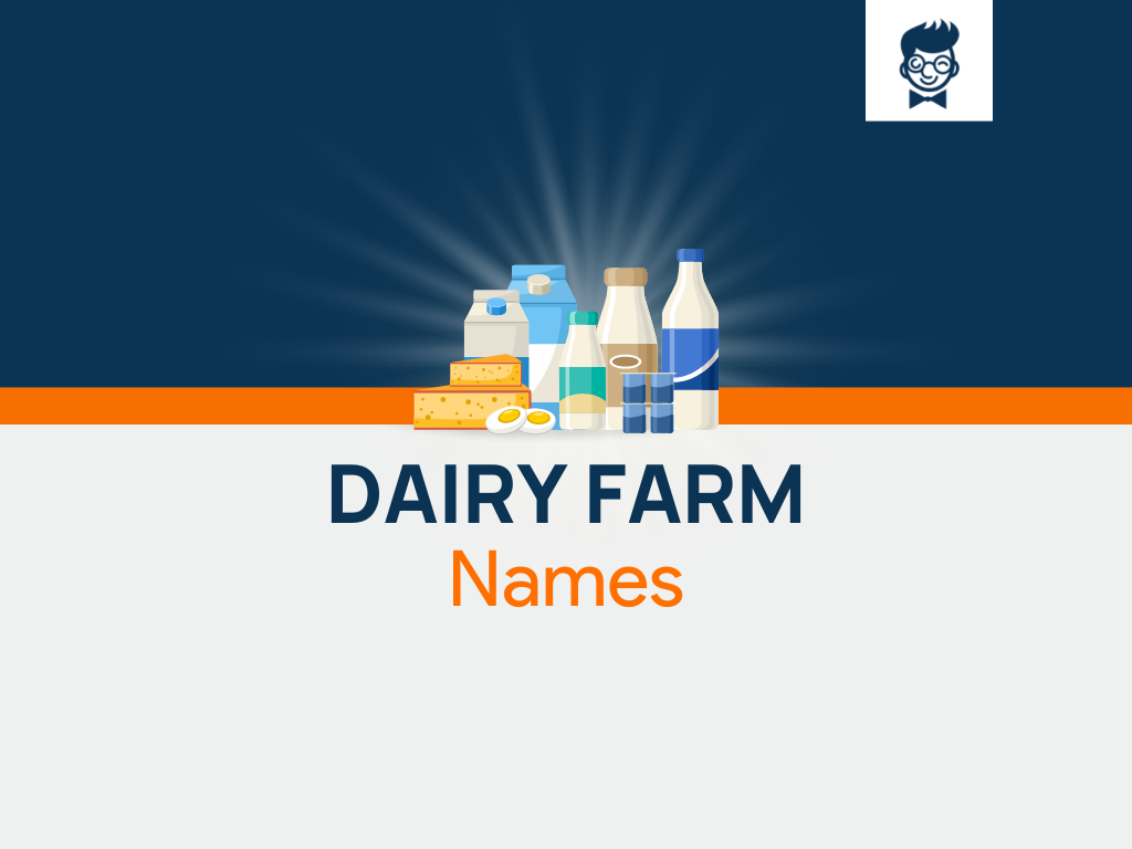 Dairy Farm Names 387 Best And Catchy Names TheBrandBoy Com