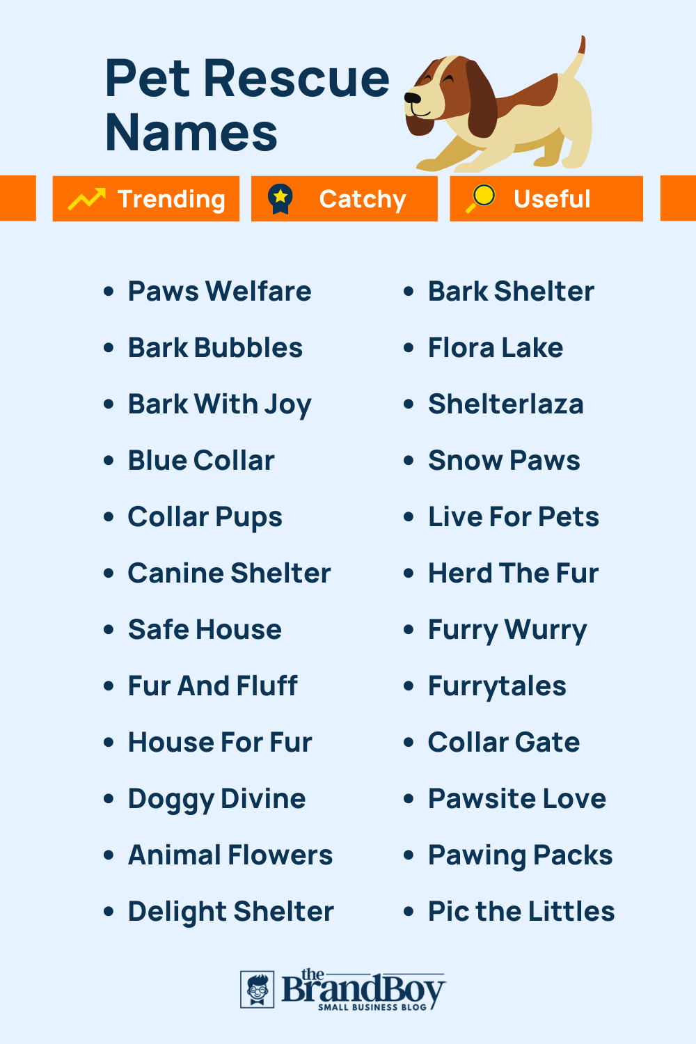 191-best-animal-and-pet-rescue-names-brandboy