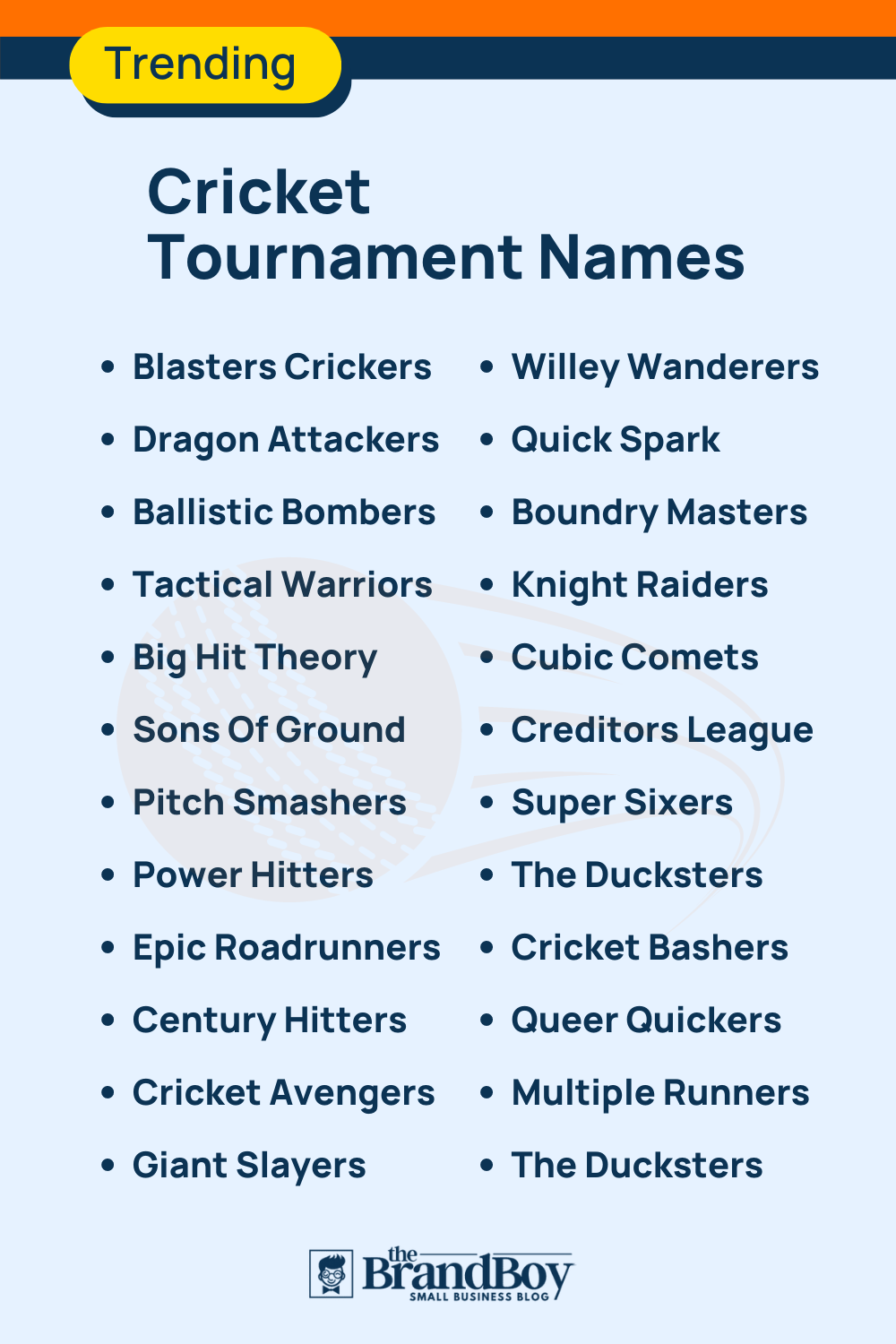 450-cricket-tournament-names-for-a-competitive-showdown-brandboy