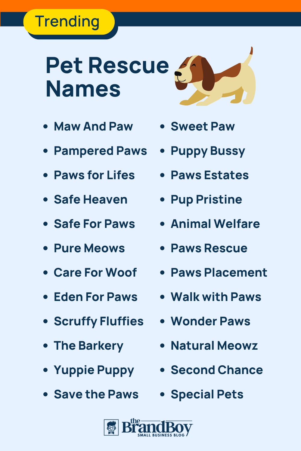 191-best-animal-and-pet-rescue-names-brandboy