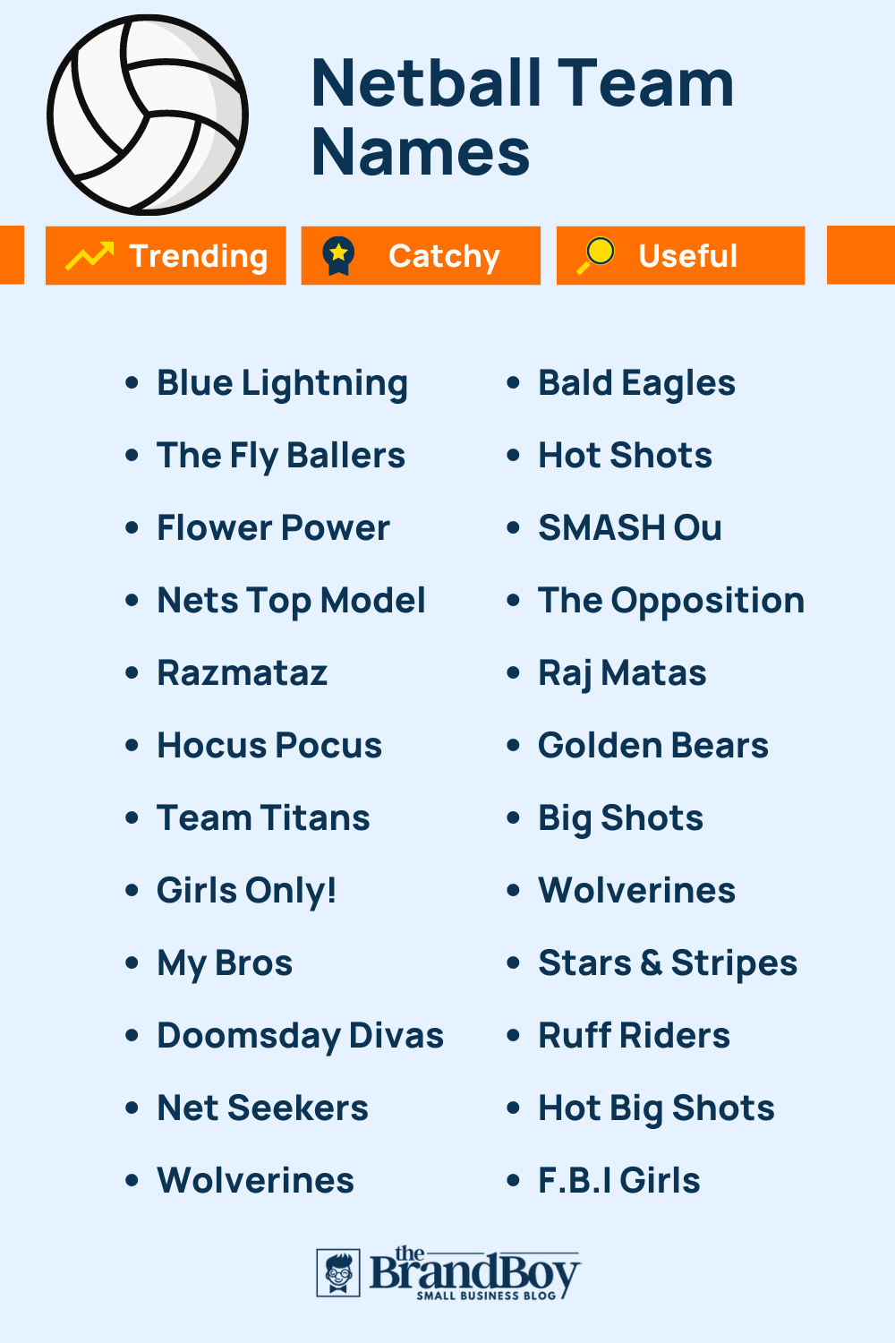 500 Cool Netball Team Names Ideas Generator BrandBoy