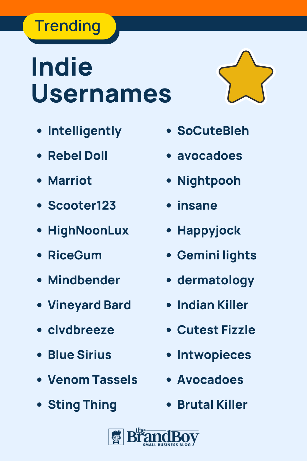 600 Cool Indie Usernames Ideas With Generator BrandBoy
