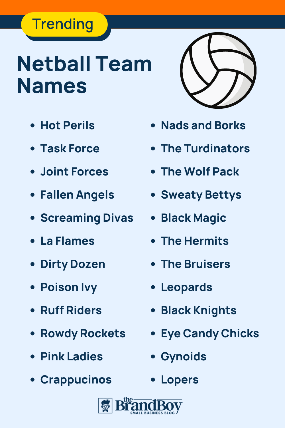 500 Cool Netball Team Names Ideas (Generator) BrandBoy