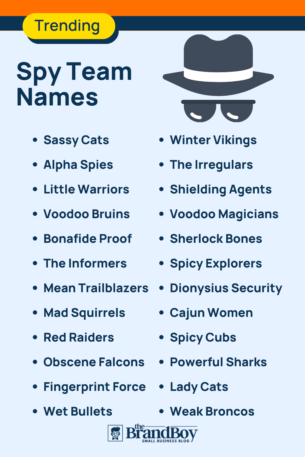 600 Cool Spy Team Names Ideas Generator BrandBoy