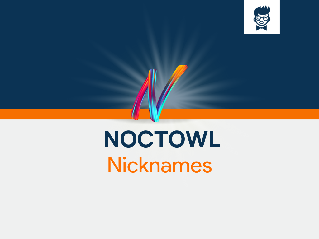 Noctowl Nicknames 620 Cool And Catchy Names BrandBoy