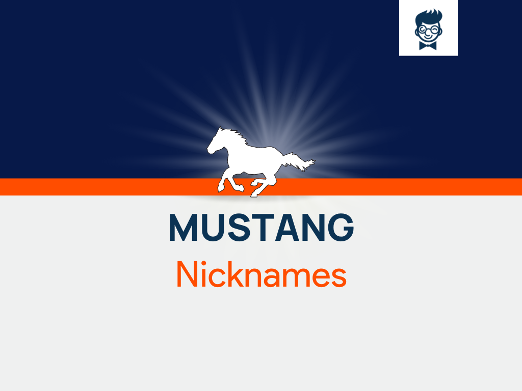 Mustang Nicknames 595 Catchy And Cool Nicknames BrandBoy