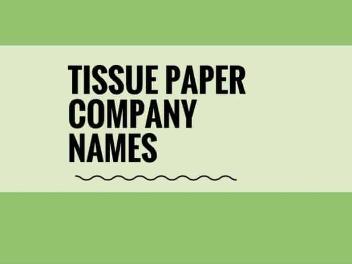 349-catchy-toilet-paper-company-name-ideas-ever-thebrandboy