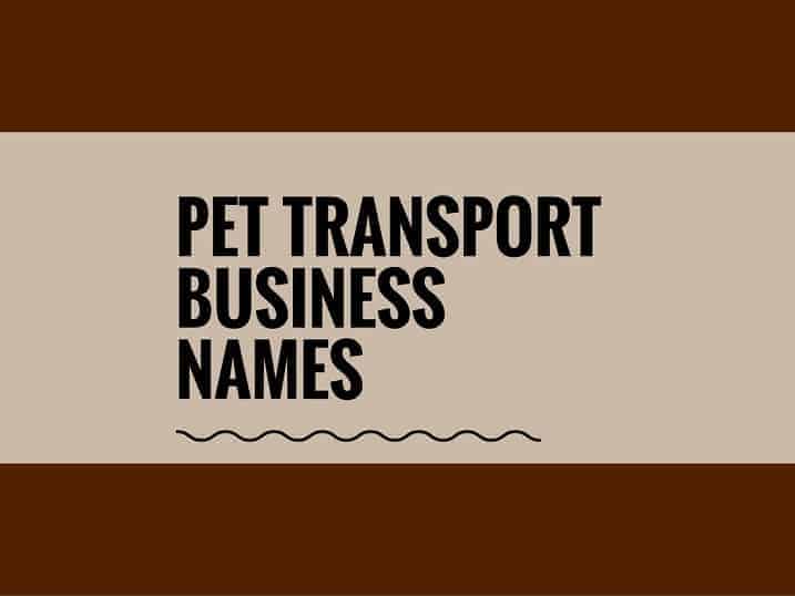 List Of 451+ Best Pet Transport Company Names That You can Use | theBrandBoy