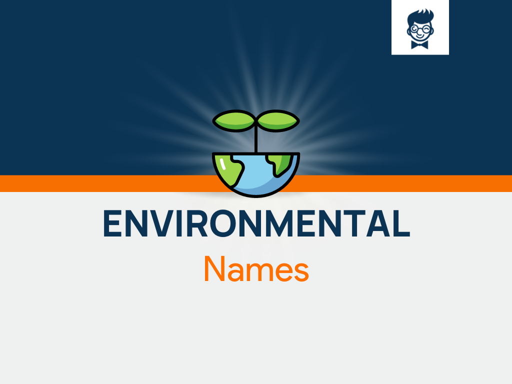 15-environmental-factors-examples