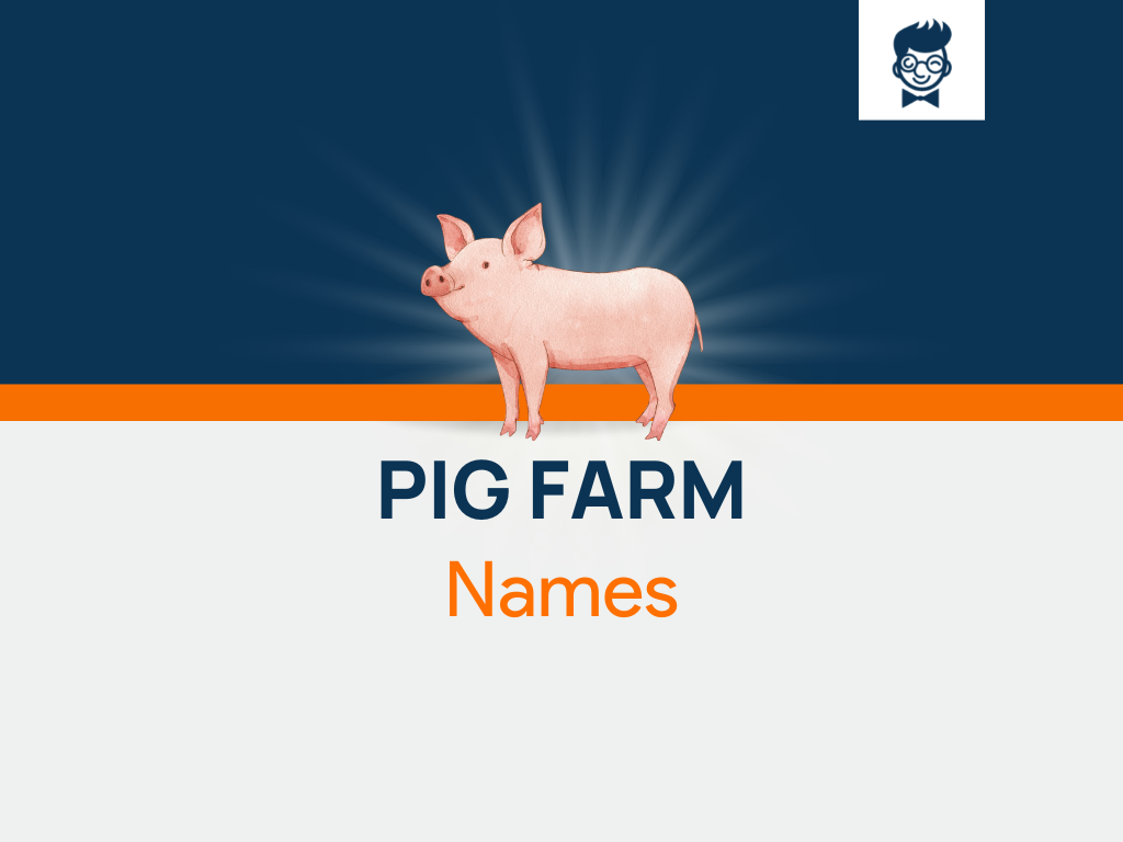 Pig farm Names: 461 Best And Cool Names
