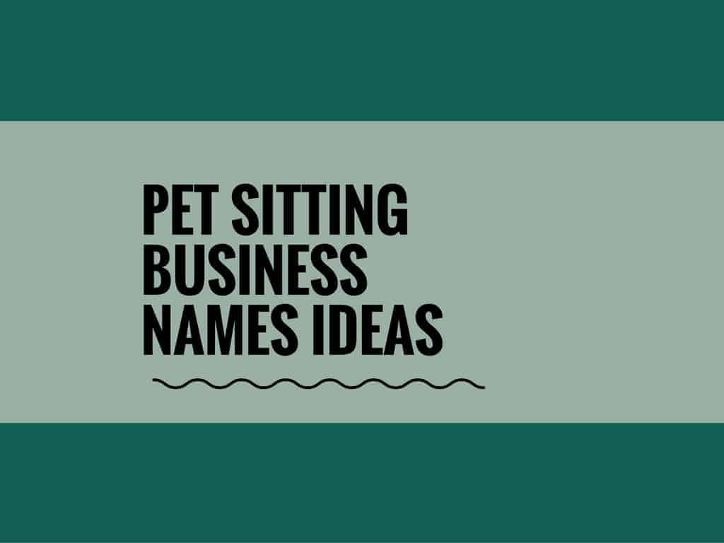 465 Catchy Pet Sitting Business Names Ideas Video Infographic