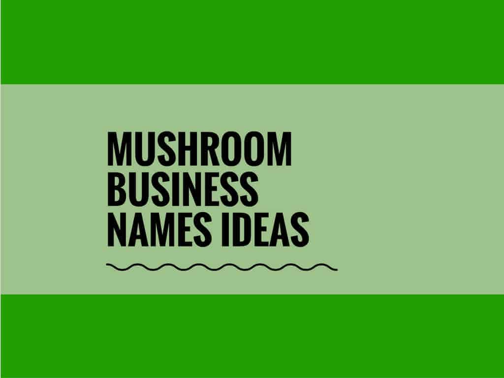463 Best Mushroom Business Name Ideas Ever Thebrandboy