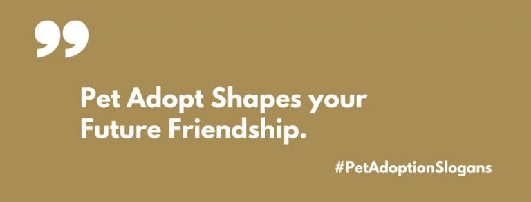 181 Catchy Pet Adoption Slogans ThebrandBoy 181-catchy-pet-adoption-slogans-thebrandboy
