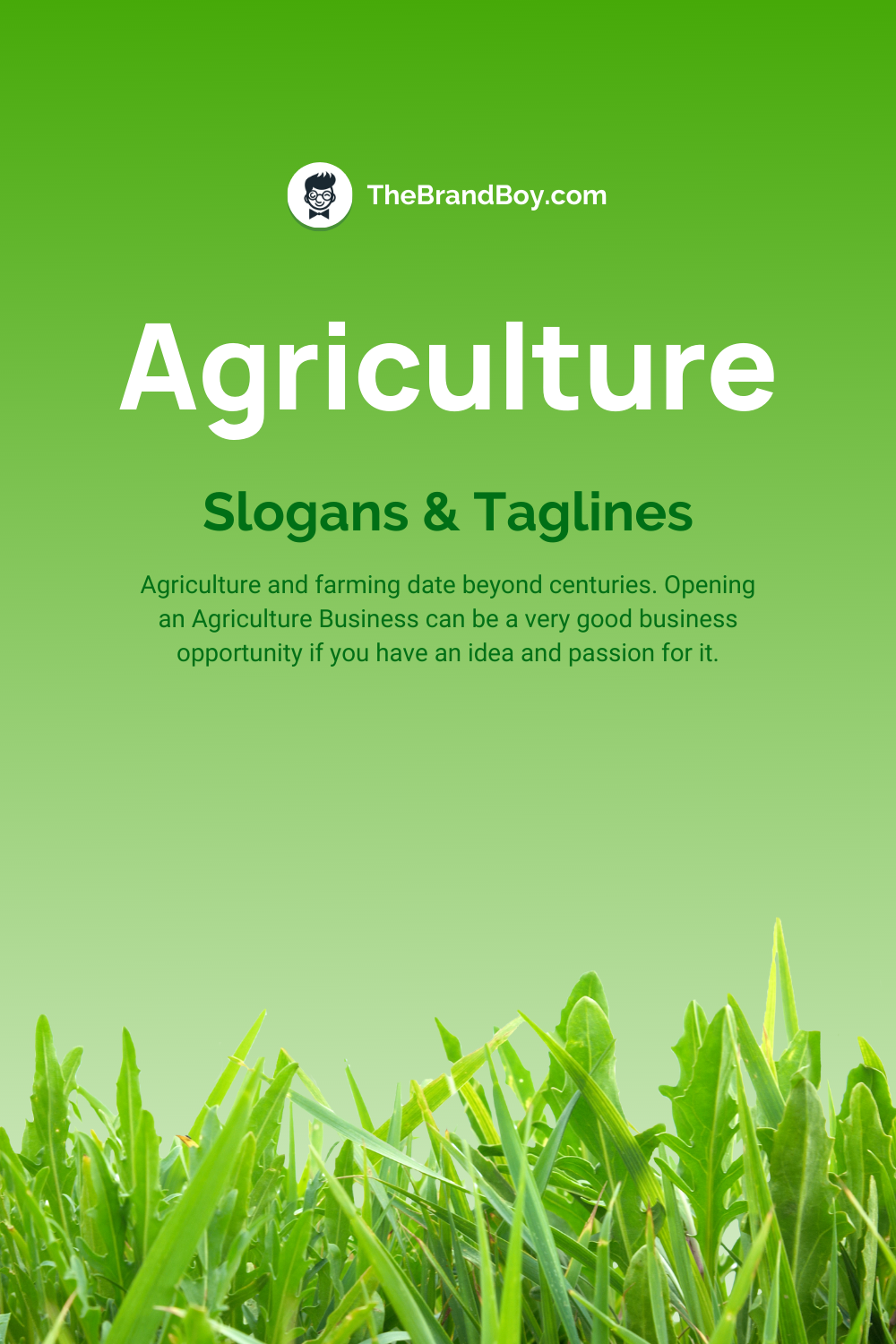 593+ Catchy Agriculture Slogans And Taglines