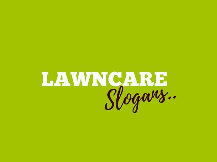 161 Creative Lawn Care Slogans And Taglines 2635