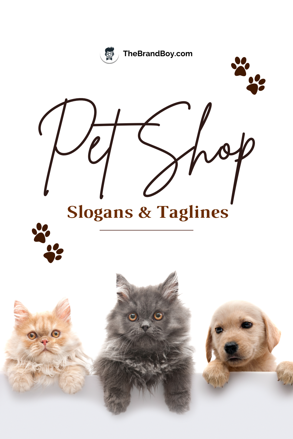 753 Catchy Pet Shop Slogans Collection BrandBoy 753-catchy-pet-shop-slogans-collection-brandboy