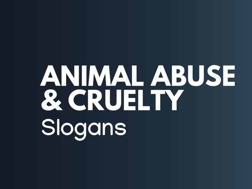 145+ Best Stop Animal Cruelty slogans 