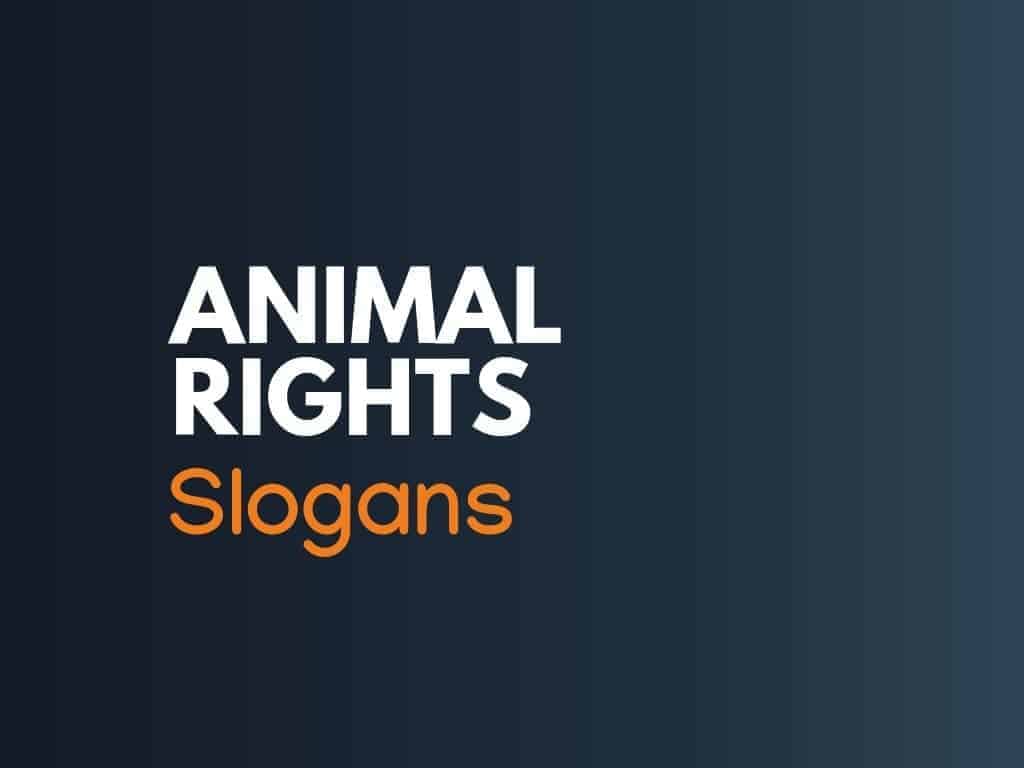 198+ Brilliant Animal Rights Slogans 