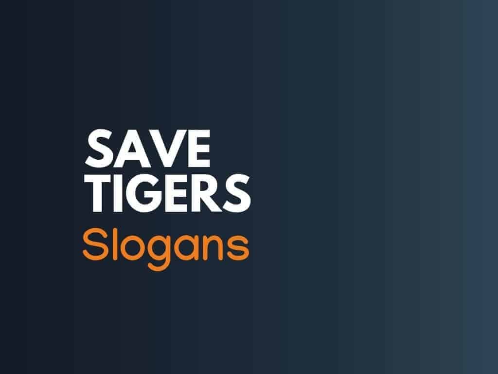 208+ Clever Save Tigers Slogans 