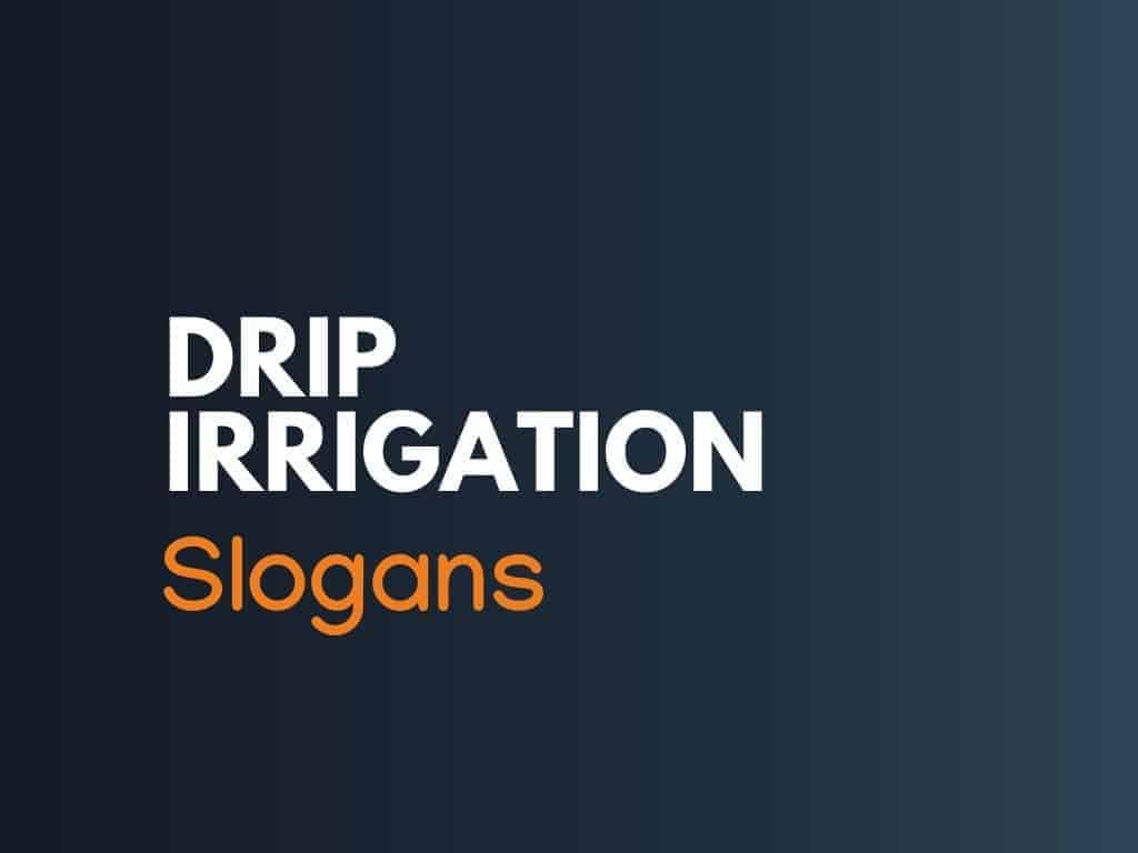 758+ Clever Drip Irrigation Slogans (generator + Guide)