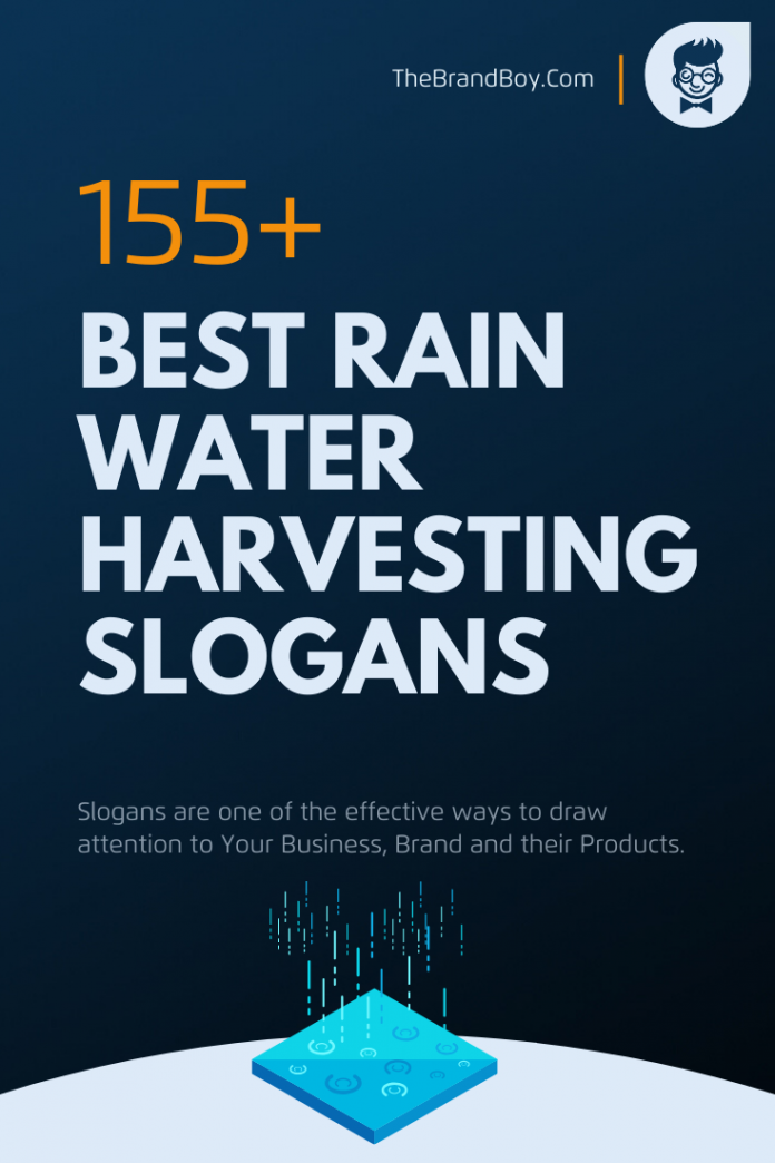 List of 165+ Best Rain Water Harvesting Slogans thebrandboy