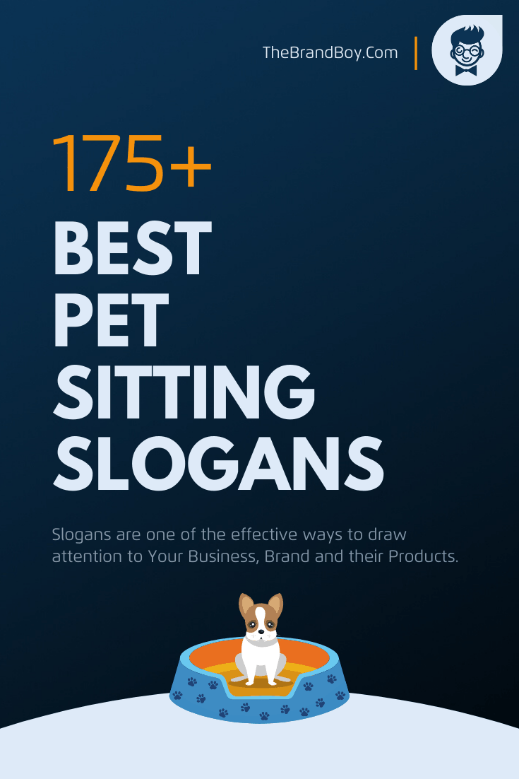 278 Catchy Pet Sitting Slogans And Taglines Thebrandboy