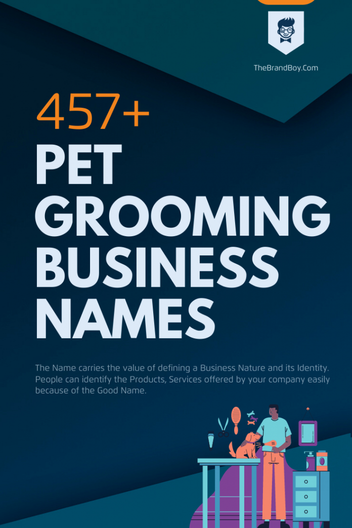 351+ Best Pet Grooming Business Names