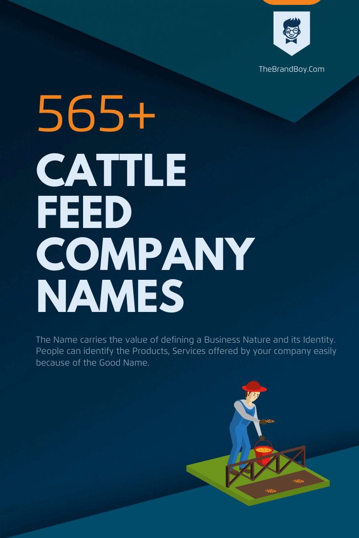 985+ Cattle Feed Names Ideas From Pasture to Plate! (+Guide)