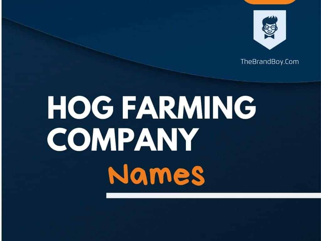 489-best-hog-farming-company-names-and-ideas-thebrandboy