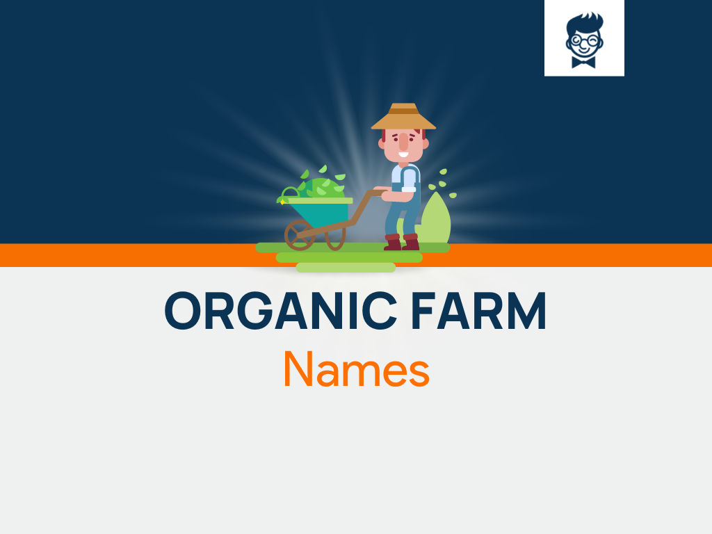 Brand Name Suggestions For Organic Farm Products