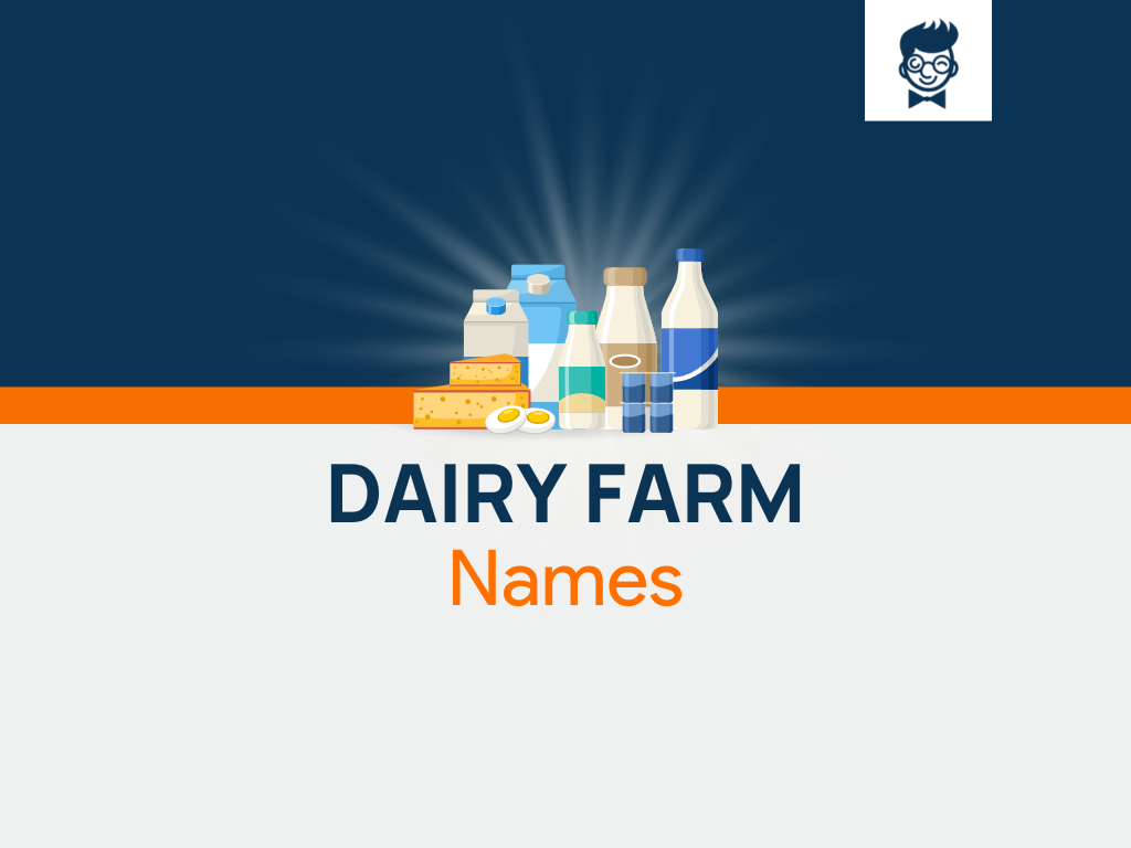 dairy-farm-names-387-best-and-catchy-names-thebrandboy-com