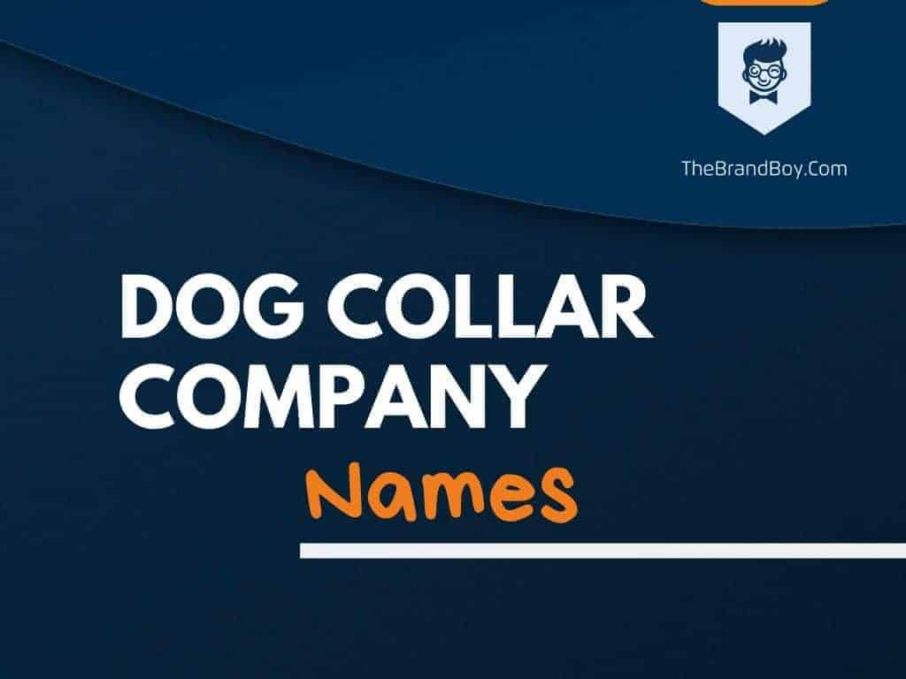 the dog collar company