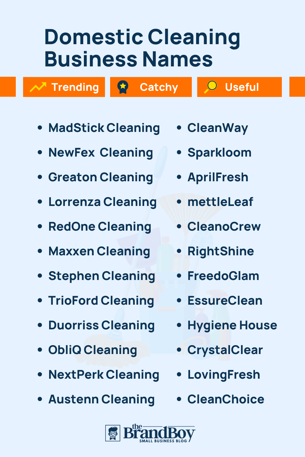 1255+ Cleaning Company Names Ideas - BrandBoy