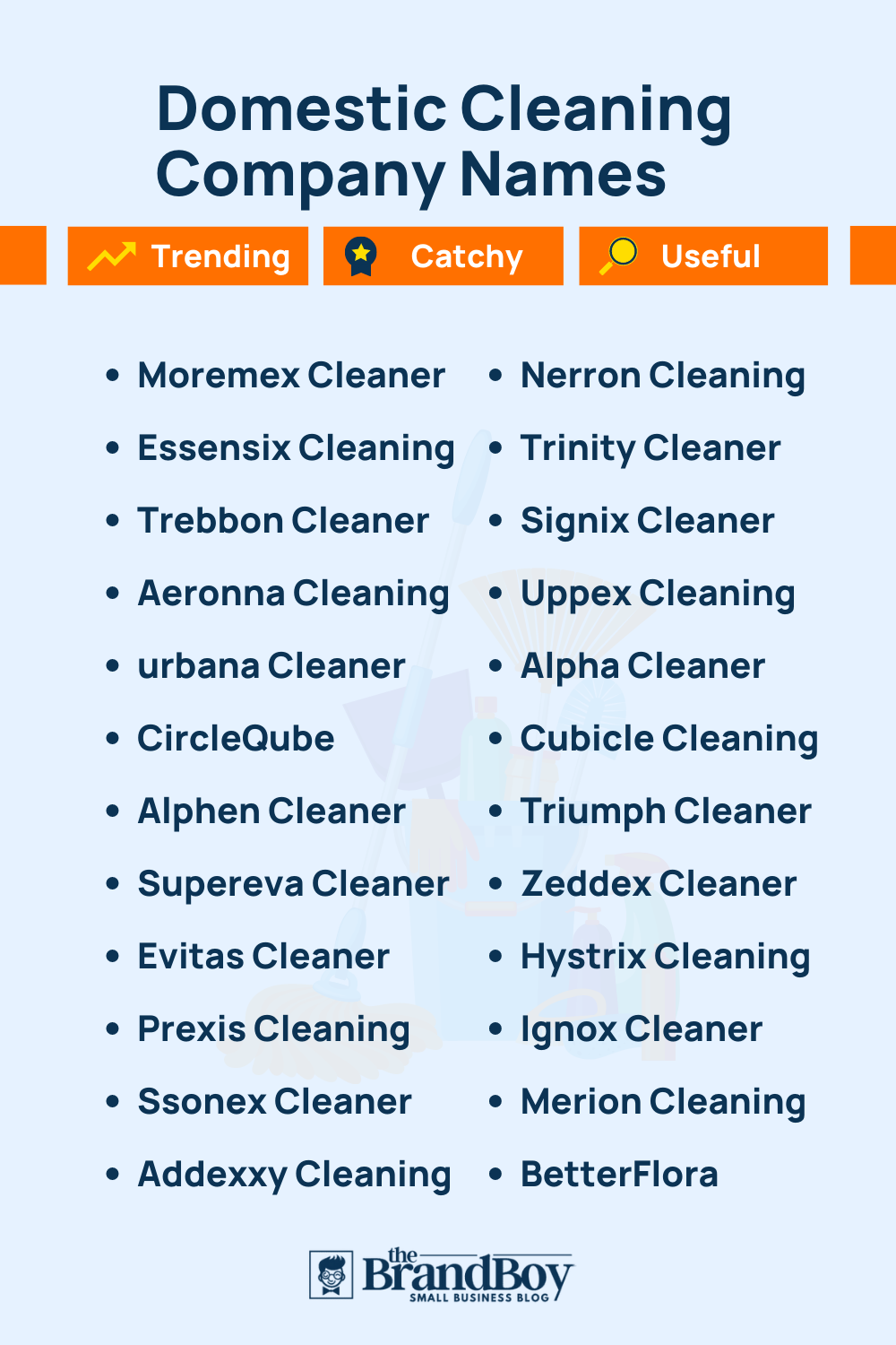 1255+ Cleaning Company Names Ideas - BrandBoy