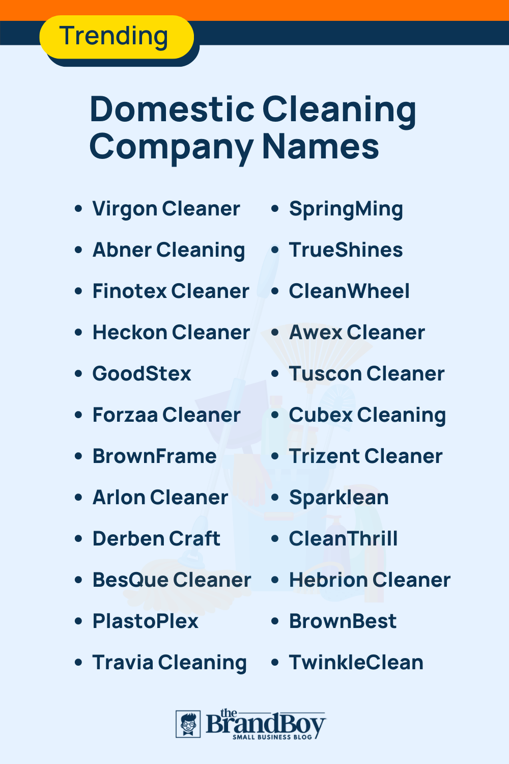 1255+ Cleaning Company Names Ideas - BrandBoy