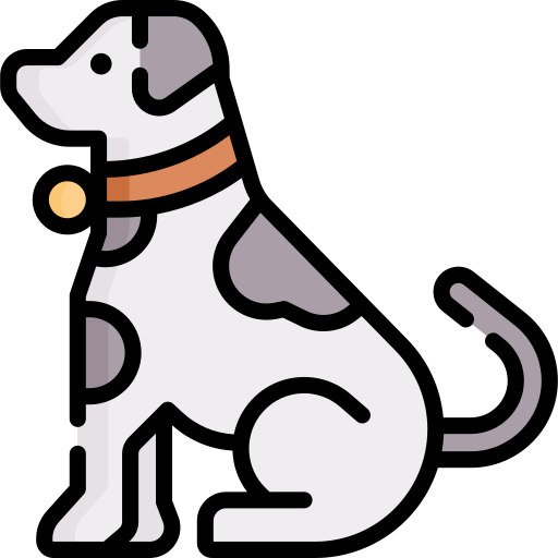 60 Cool Dog Band Names TheBrandBoy Com 60-cool-dog-band-names-thebrandboy-com