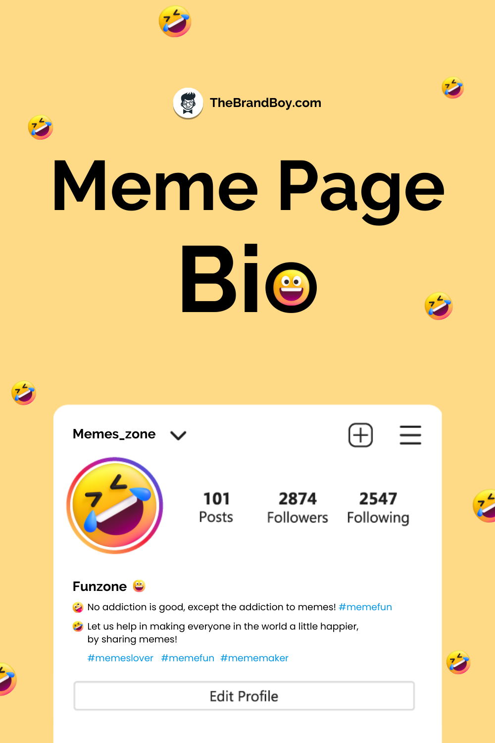 200-meme-page-bio-to-make-your-own-thebrandboy-com