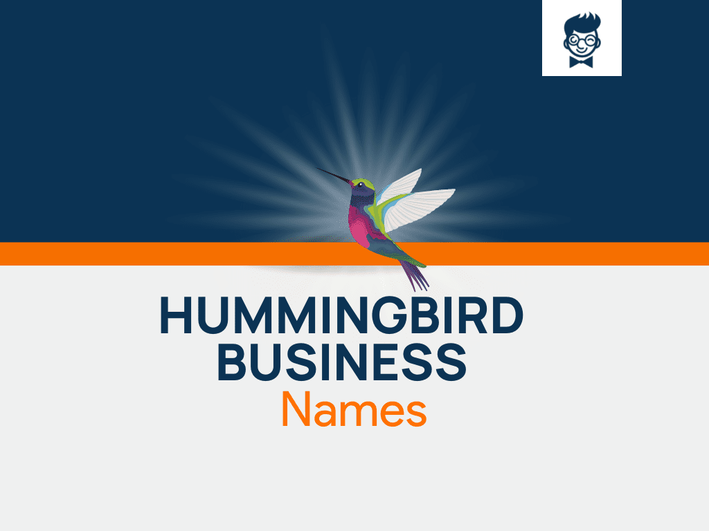 600+ Hummingbird Business Names Ideas And Domains (Generator + Guide