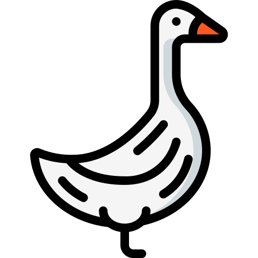 720+ Goose Names Every Bird Lover Should Know! BrandBoy