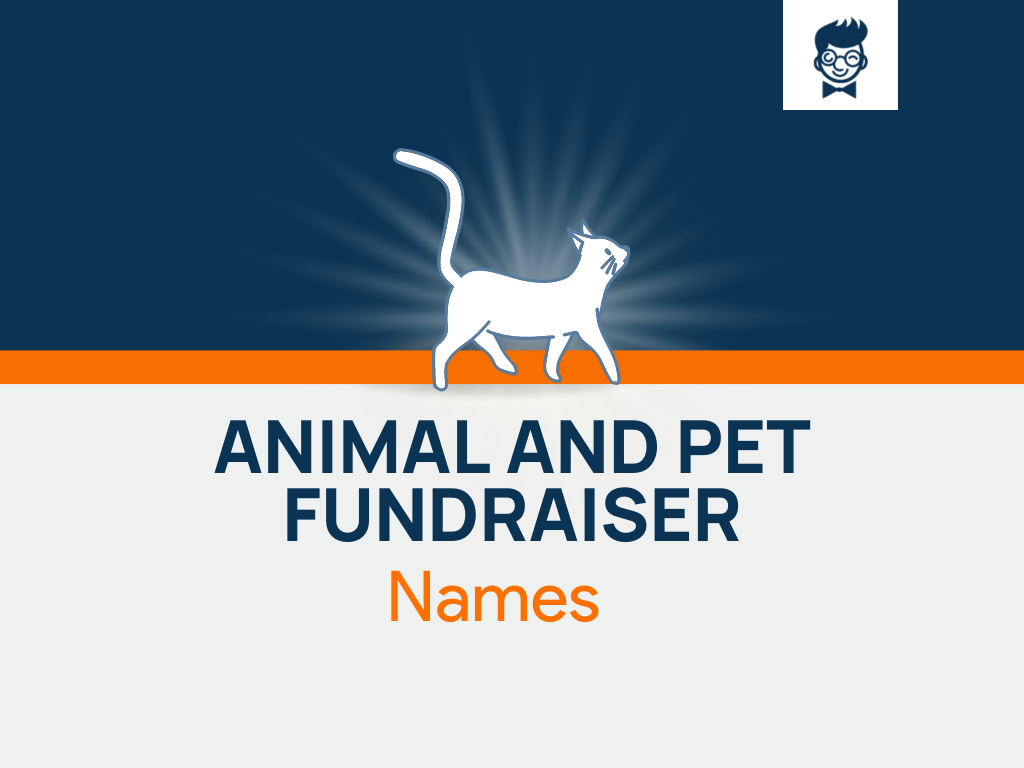 535-best-pet-fundraiser-names-ideas-and-suggestions-brandboy