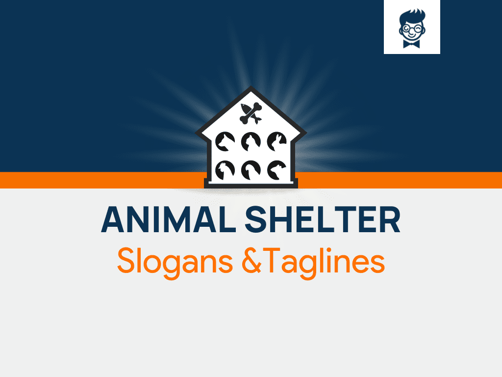 382+ Catchy Animal Shelter Slogans And Sayings 