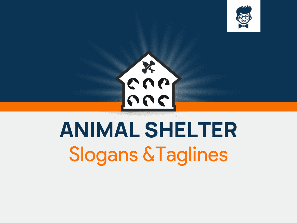 763-catchy-animal-shelter-slogans-and-sayings-generator-guide