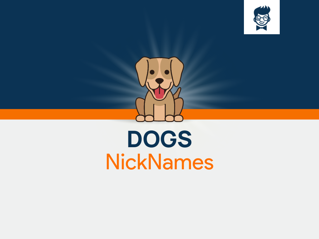 Sweet Nicknames For Dogs