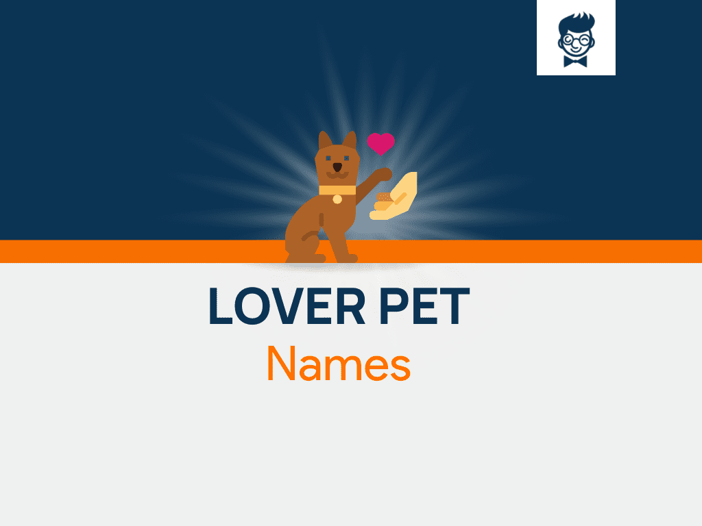 800 Pet Names For Lovers BrandBoy   Lover Pet Names 