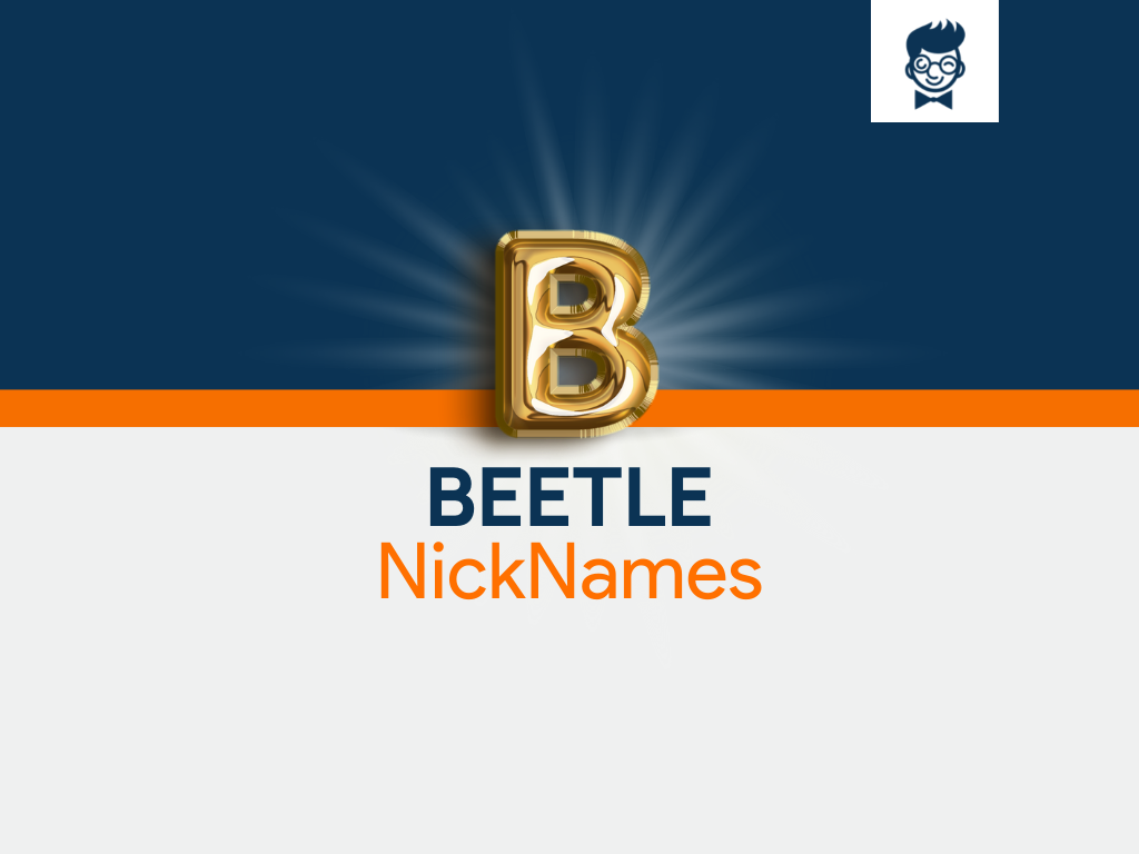 400-beetle-nicknames-with-generator-brandboy