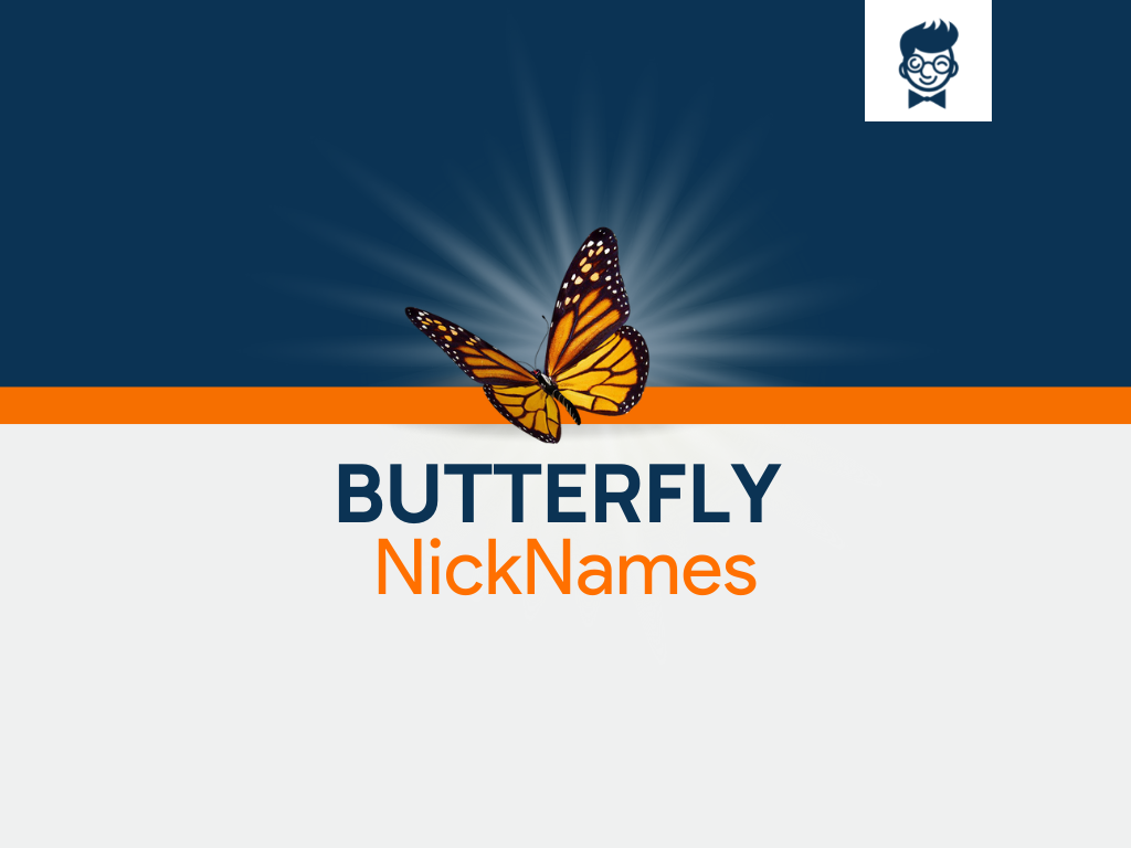 Butterfly Nicknames: 630+ Cool And Catchy Names - BrandBoy